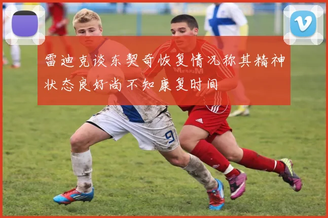雷迪克谈东契奇恢复情况称其精神状态良好尚不知康复时间