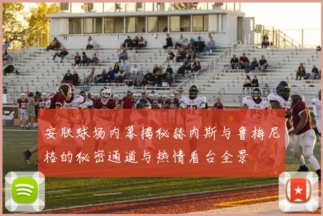 安联球场内幕揭秘赫内斯与鲁梅尼格的秘密通道与热情看台全景